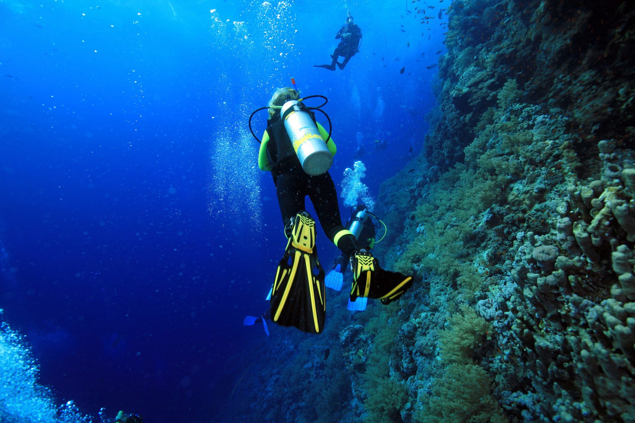 Reserva Isla Grosa masmarbuceo